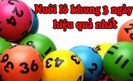 Cách phân bố vốn nuôi lô 3 ngày hiệu quả